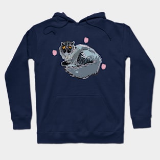 Alfredo-Cat Sleepy persian cat Hoodie